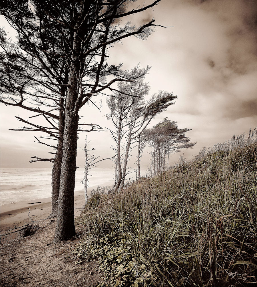 Weathered Coast — Martin Kaspers