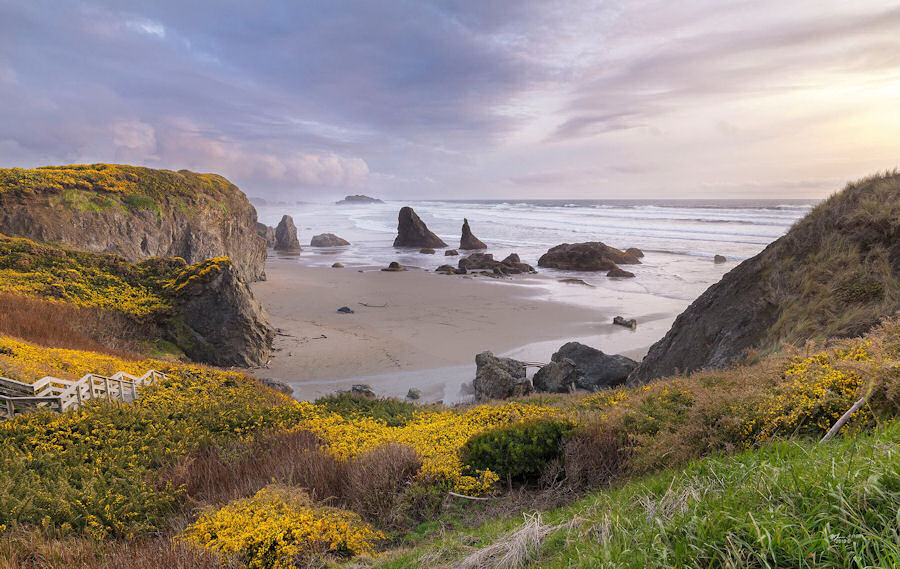 Oregon Coast — Martin Kaspers
